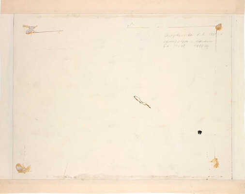 Солодовникова Наталья Александровна. Натюрморт с овощами 